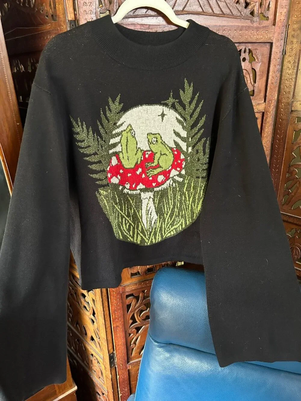 Frog Love Mushrooms Cozy Sweater - Picture 1 of 3
